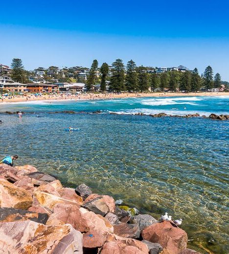 Avoca Beach Central Coast